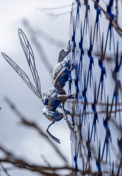 Creative Photography Walks Course for Wellbeing