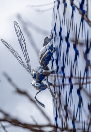 Creative Photography Walks Course for Wellbeing