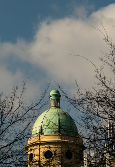 Creative Photography Walks Course for Wellbeing