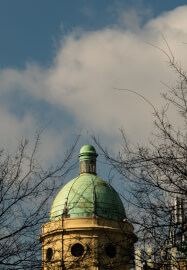 Creative Photography Walks Course for Wellbeing