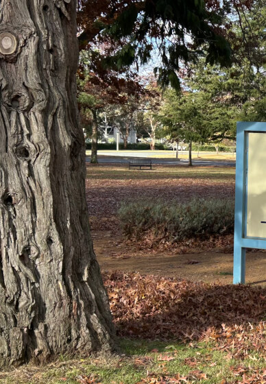 Creative Writing Walk Tour: Art and Nature