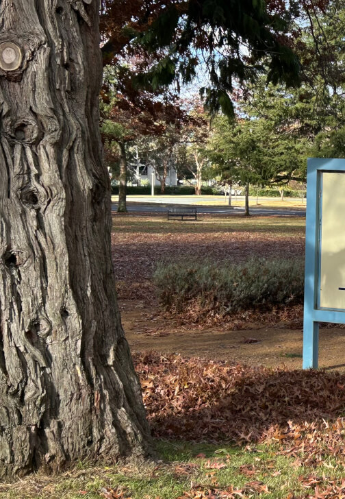 Creative Writing Walk Tour: Art and Nature