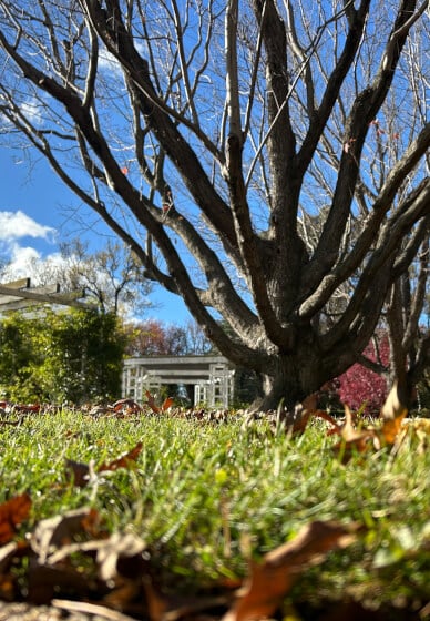 Creative Writing Walk Tour: Art and Nature