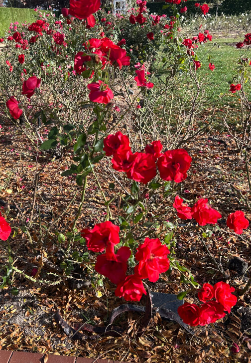 Creative Writing Walk Tour: Art and Nature