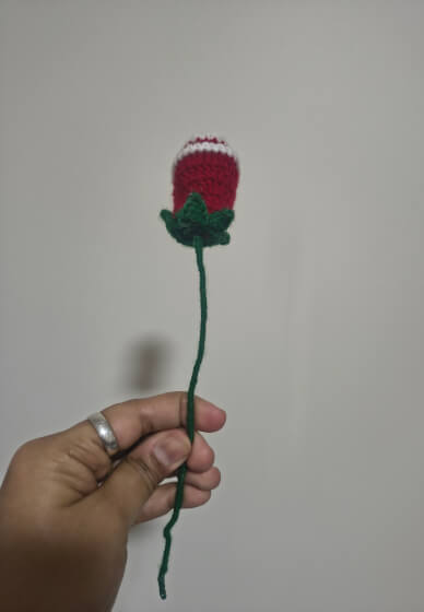 Crochet Rose – Beginner-Friendly Flower Workshop