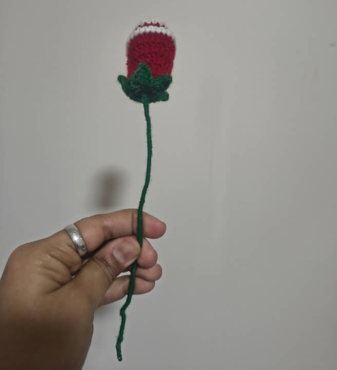 Crochet Rose – Beginner-Friendly Flower Workshop