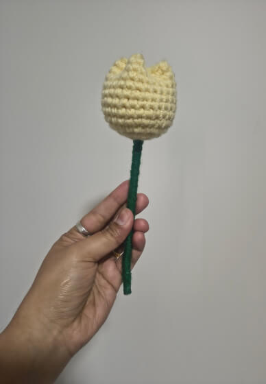 Crochet Tulip – Beginner-Friendly Flower Workshop