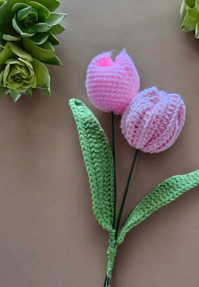 Crocheting Course for Beginners