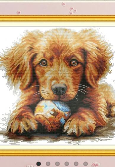 Cross Stitch, Knitting, Crocheting Social Experience