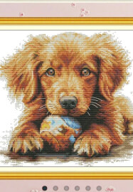 Cross Stitch, Knitting, Crocheting Social Experience