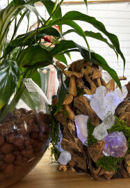 Crystal Driftwood Lamp Workshop