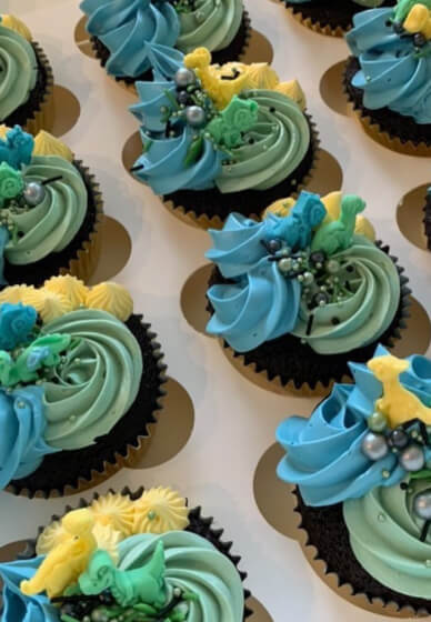 Cupcake Decorating and Design Class