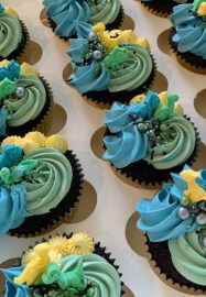 Cupcake Decorating and Design Class