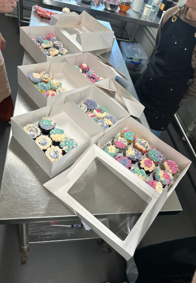 Cupcake Decorating Class