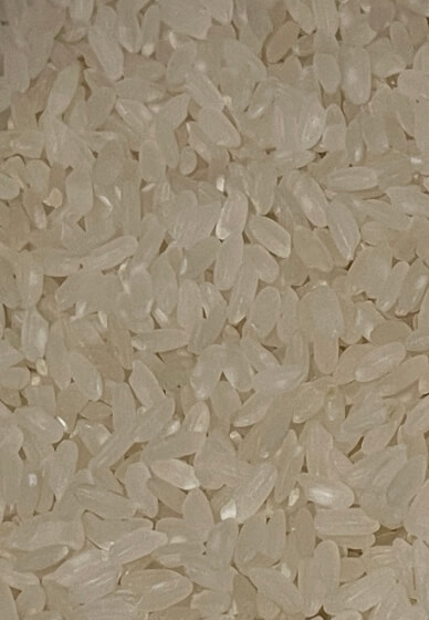 Indian Curry and Chai Making Workshop