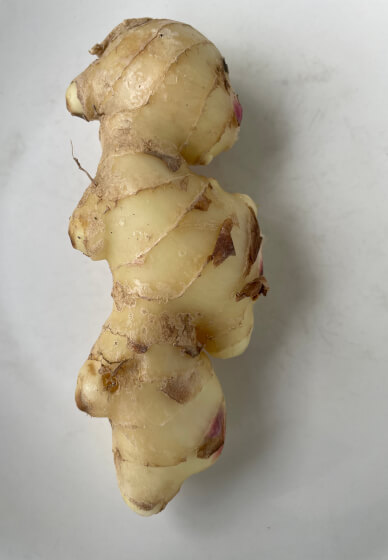 Indian Curry and Chai Making Workshop