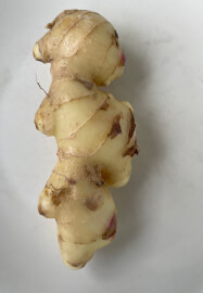 Indian Curry and Chai Making Workshop