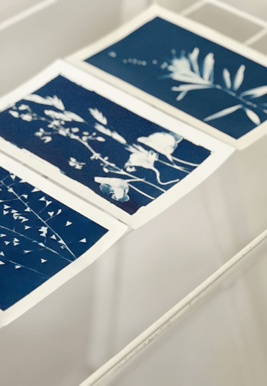 Cyanotype Print Making Workshop: Greeting Cards