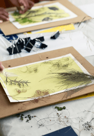 Cyanotype Print Making Workshop: Greeting Cards