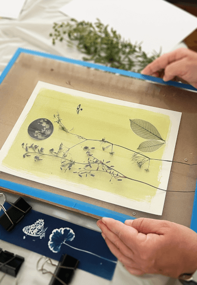Cyanotype Print Making Workshop: Greeting Cards