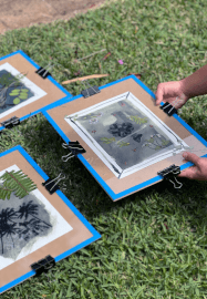 Cyanotype Print Making Workshop: Greeting Cards