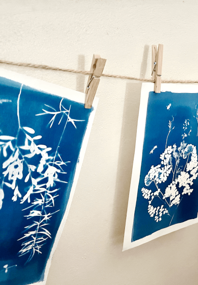 Cyanotype Print Making Workshop: Greeting Cards