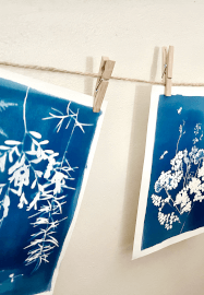 Cyanotype Print Making Workshop: Greeting Cards
