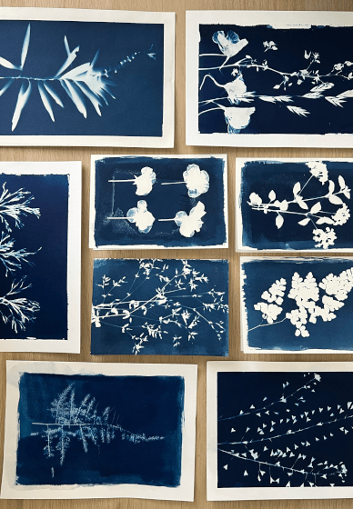 Cyanotype Print Making Workshop: Greeting Cards