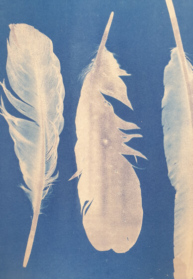 Cyanotype Printing Workshop