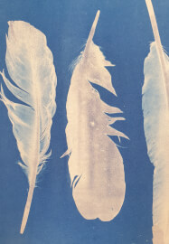 Cyanotype Printing Workshop