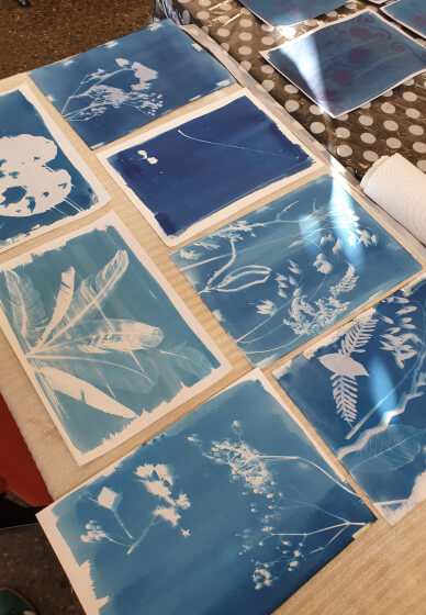Cyanotype Printing Workshop