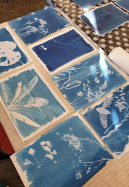 Cyanotype Printing Workshop