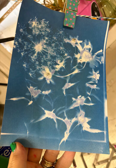 Cyanotype - Sun Prints Class