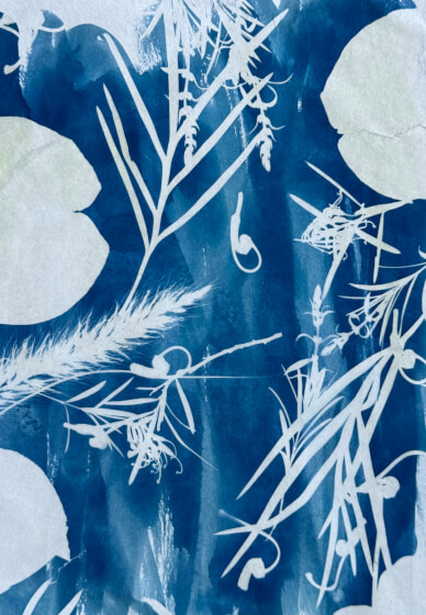 Botanical Cyanotype Printmaking Workshop