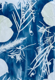 Botanical Cyanotype Printmaking Workshop
