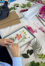Botanical Cyanotype Printmaking Workshop