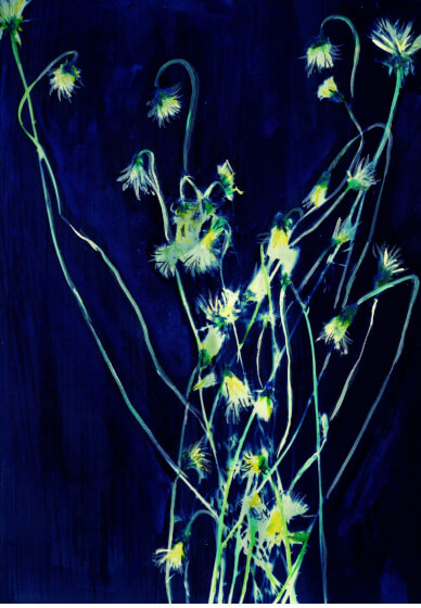 Cyanotype Workshop