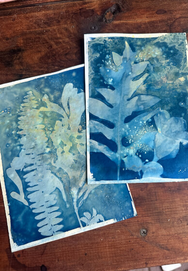 Advanced Cyanotype Printmaking Workshop