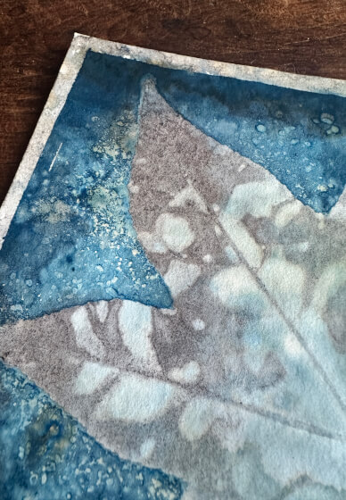 Advanced Cyanotype Printmaking Workshop
