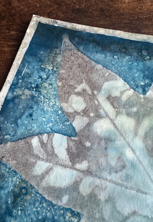 Advanced Cyanotype Printmaking Workshop