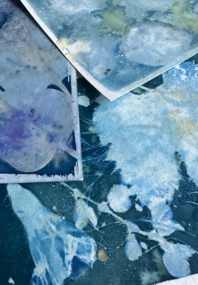 Advanced Cyanotype Printmaking Workshop