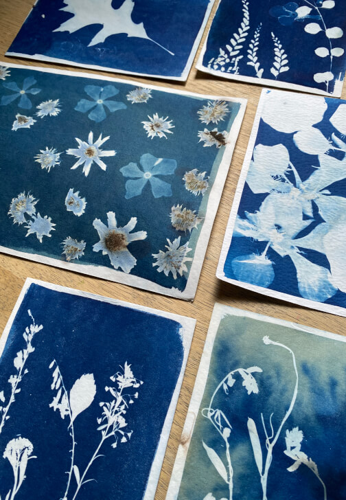 Advanced Cyanotype Printmaking Workshop