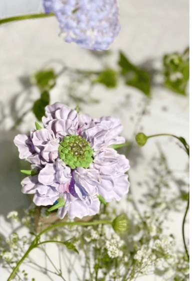 Dairy-Free Realistic Flowers Piping Workshop