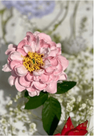 Dairy-Free Realistic Flowers Piping Workshop