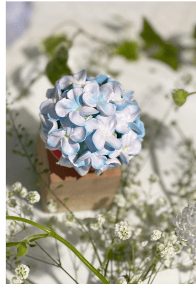 Dairy-Free Realistic Flowers Piping Workshop