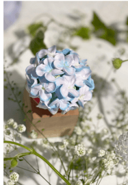 Dairy-Free Realistic Flowers Piping Workshop