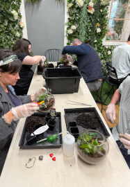 Date Night Terrarium Class for Couples