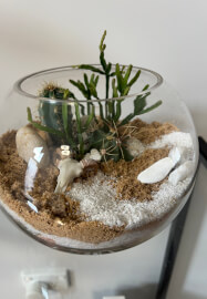 Desert-Scape Terrarium Cactus Workshop