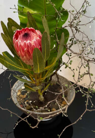 Discover the Art of Japanese Ikebana Workshop