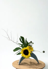 Discover the Art of Japanese Ikebana Workshop